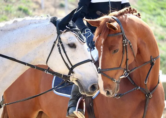 酒店 Frigopan 普罗夫迪夫