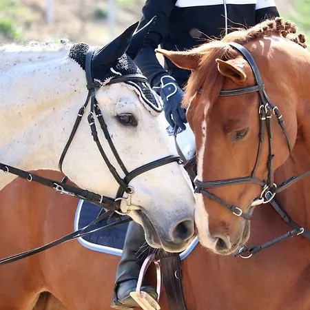 Hotel Frigopan Plovdiv